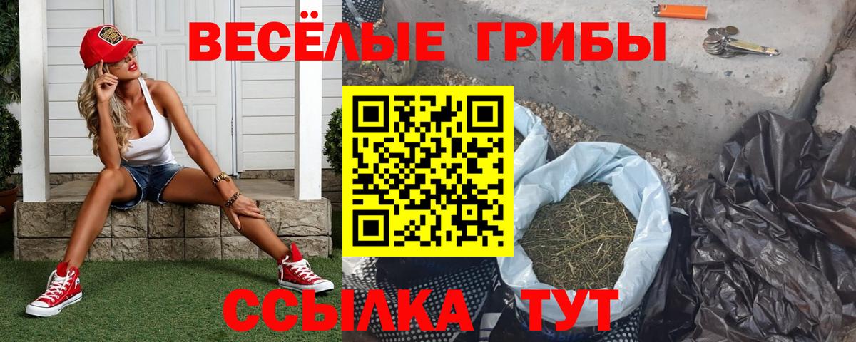 Галлюциногенные грибы Magic Shrooms  Вход с VPN  Тимашёвск  Псилоцибиновые грибы MAGIC MUSHROOMS 