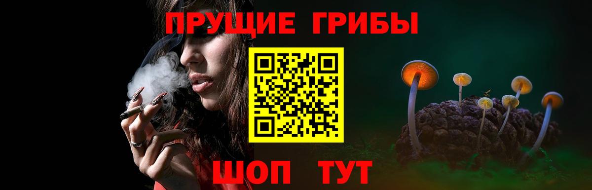 Галлюциногенные грибы прущие грибы Тимашёвск